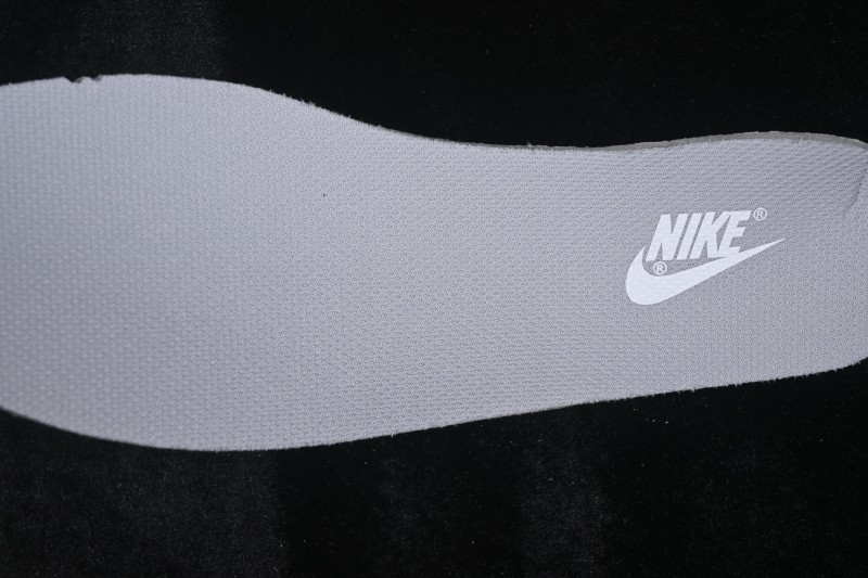 Nike SB Dunk Low Retro Skateboarding Shoes in White and Grey - 355152-106