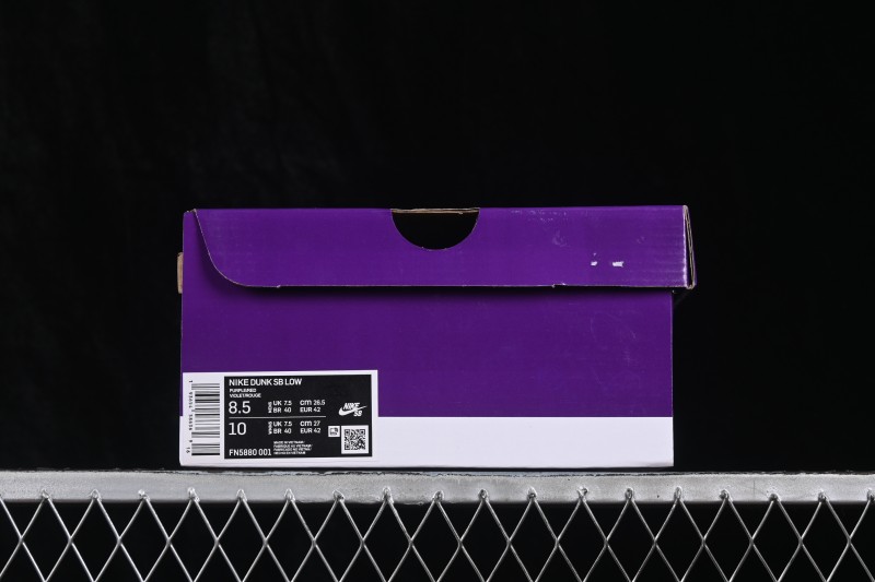 Nike SB Dunk Low Skateboarding Shoes with Cushioned Collar - FN5880-001