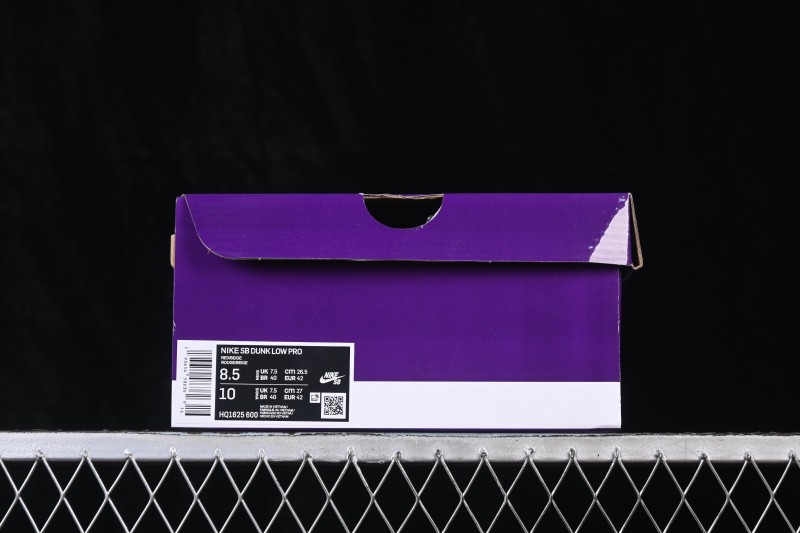 Nike SB Dunk Low Skateboarding Shoes with Cushioned Collar - HQ1625-600